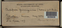 Image Associated With the Occurence